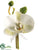 Phalaenopsis Orchid Corsage - White - Pack of 24