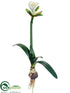 Silk Plants Direct Amaryllis Spray - Cream Green - Pack of 6