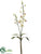 Dendrobium Orchid Spray - Cream Green - Pack of 12