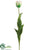 Giant Tulip Spray - Cream Green - Pack of 4