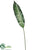 Large Bird of Paradise Leaf Spray - Green - Pack of 12
