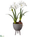 Silk Plants Direct Amaryllis With Bulb With Wood Stand - White - Pack of 2