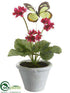 Silk Plants Direct Primula - Beauty - Pack of 6