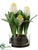 Hyacinth - White - Pack of 1