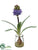 Hyacinth - Lavender - Pack of 12