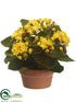 Silk Plants Direct Kalanchoe - Yellow - Pack of 4