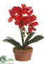 Silk Plants Direct Phalaenopsis Orchid Plant - Red - Pack of 4
