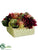 Dahlia, Protea, Sedum - Wine Green - Pack of 2