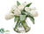 Tulip, Ranunculus - White - Pack of 4