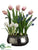 Tulip, Muscari, Hyacinth - Mixed - Pack of 2