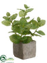 Silk Plants Direct Peppermint Leaf - Green - Pack of 6