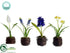 Silk Plants Direct Tulip, Hyacinth, Narcissus, Muscari - Assorted - Pack of 4
