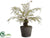 Arborescent Fern Plant - Green - Pack of 2