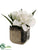 Gardenia - White - Pack of 6