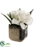 Silk Plants Direct Gardenia - White - Pack of 6