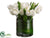 Tulip - White - Pack of 2