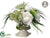 Rose, Peony, Queen Anne's Lace - White Green - Pack of 2