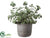 Silk Plants Direct Mint, Rosemary - Green - Pack of 12