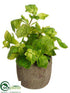 Silk Plants Direct Basil - Green - Pack of 6