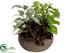 Silk Plants Direct Herb Garden - Green - Pack of 2