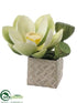 Silk Plants Direct Lotus - White Green - Pack of 6