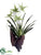 Swan Orchid Plant on Driftwood Wall Piece - Green - Pack of 1