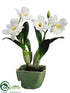 Silk Plants Direct Jamaica Orchid Plant - Cream - Pack of 4