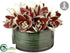 Silk Plants Direct Cymbidium Orchid - Burgundy - Pack of 1