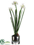 Silk Plants Direct Paperwhite Narcissus - White - Pack of 1