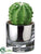 Barrel Cactus - Green - Pack of 4