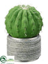 Silk Plants Direct Barrel Cactus - Green - Pack of 6