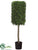 Boxwood Rectangle Topiary - Green Two Tone - Pack of 1