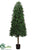 Boxwood Cone Topiary - Green Two Tone - Pack of 1