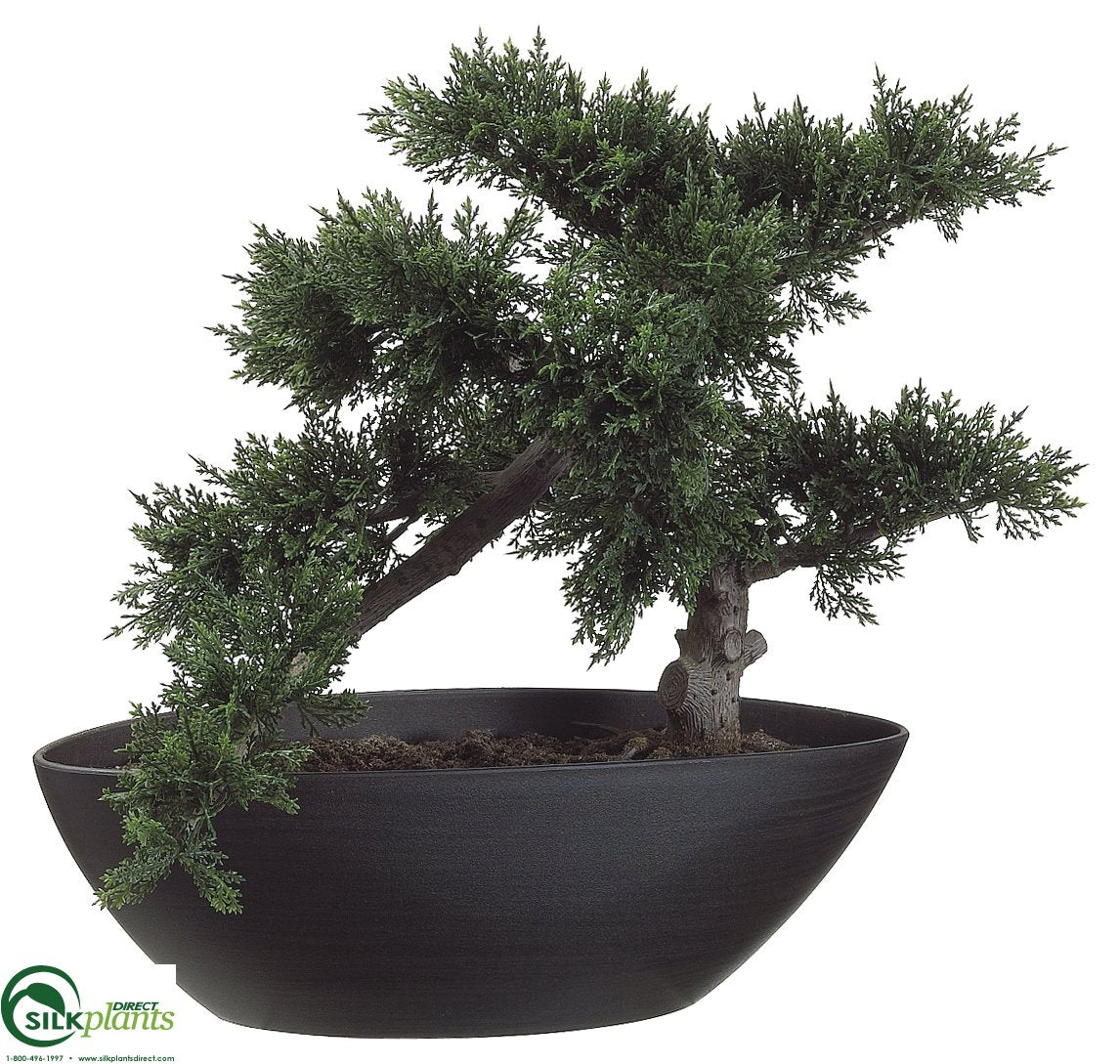 Cedar Bonsai Tree - Green - Pack of 4 - (CRG-263BPLS)