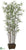 Bamboo Tree - Green - Pack of 2