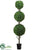 Boxwood Triple Ball Topiary - Green - Pack of 1