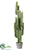 Cactus Plant - Green - Pack of 1