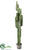 Cactus Plant - Green - Pack of 1
