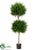 Cypress Double Ball Topiary - Green - Pack of 1