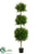 Cypress Triple Ball Topiary - Green - Pack of 1