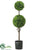 Two Ball Cedar Topiary - Green - Pack of 1