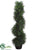 Cedar Topiary Spiral - Green - Pack of 4