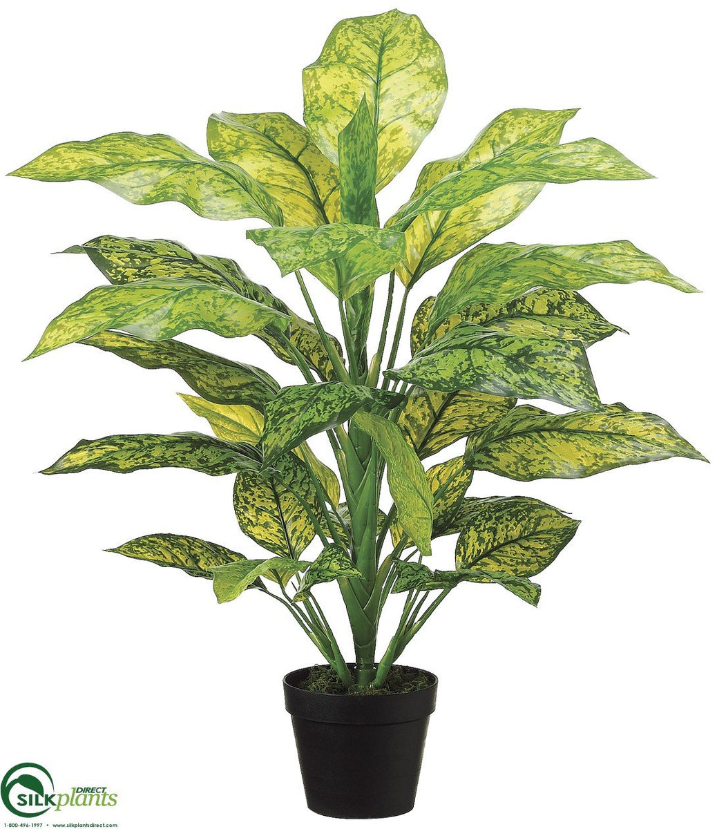 dieffenbachia silk plant Dieffenbachia Plant - Green - Pack of 4 - (CRG-911DPLS)