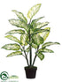 Silk Plants Direct Dieffenbachia Plant - Variegated - Pack of 4