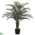 Tropical Palm Tree - Green - Pack of 2