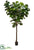 EVA Giant Fiddle Leaf Tree - Green - Pack of 1