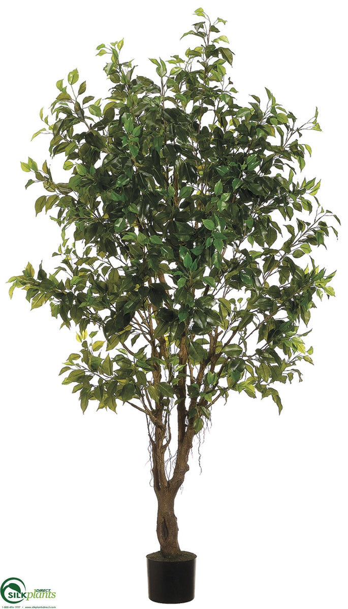 Outdoor Ficus Tree Green Pack of 2 (CRG426FPLS