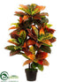 Silk Plants Direct Croton Plant - Green Pink - Pack of 2