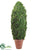 Grass, Ivy Leaf Cone Topiary - Green - Pack of 1