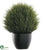 Oval Thistle Ball - Green - Pack of 4